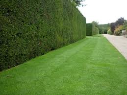 Slideshow Image 11