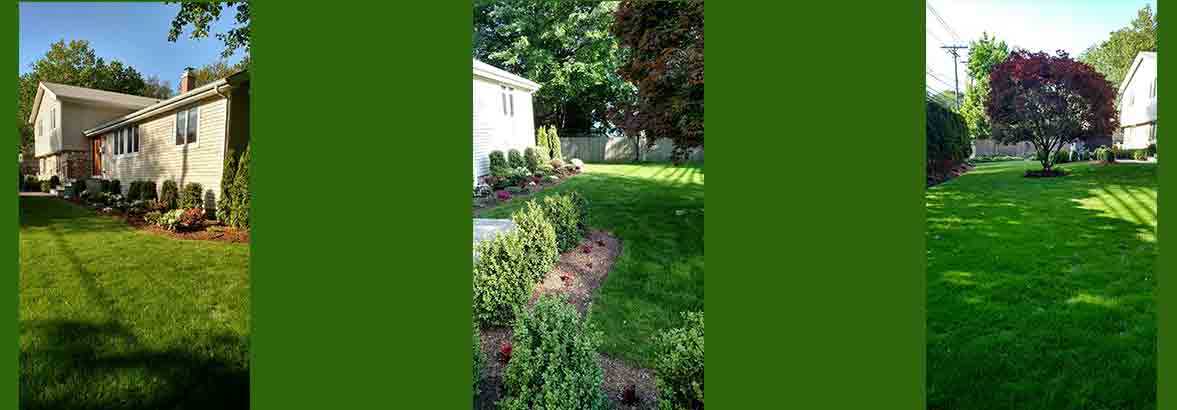 Slideshow Image 4