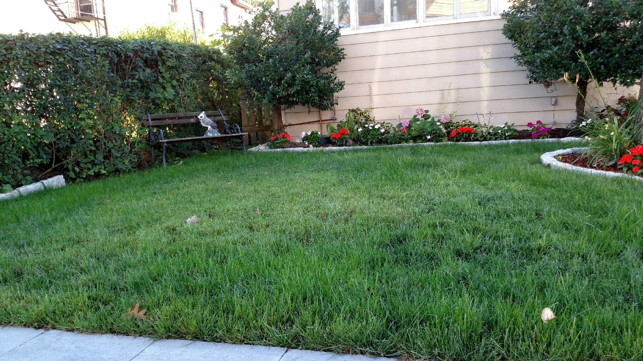 Slideshow Image 5