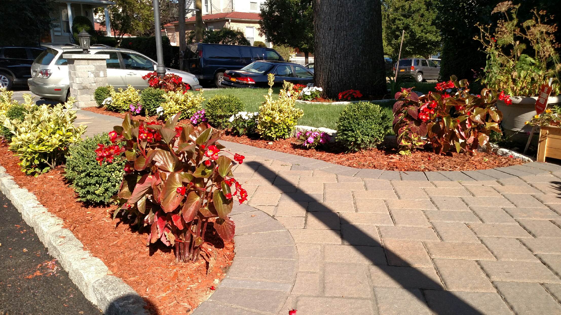 Slideshow Image 6